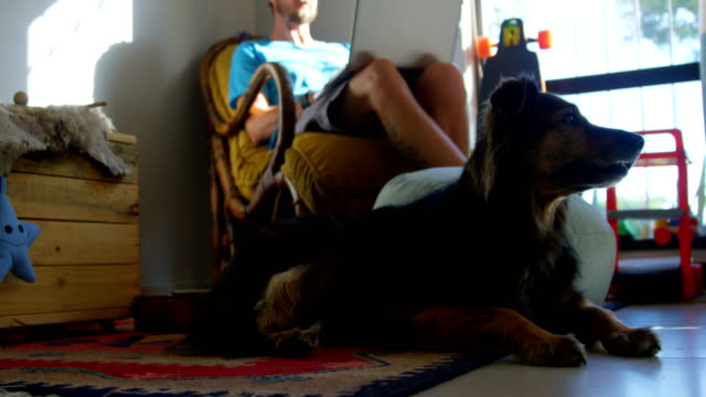 Mann-mit-seinem-Hund-mit-Laptop-4k