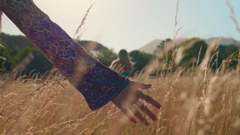 Close-up-of-woman's-hands-in-long-grass-as-she-walks-following-her-friend