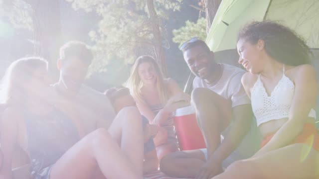Entspannen-Sie-sich-auf-einen-Blick-in-die-Kamera-Picknickdecke-Freunde