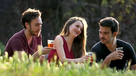 happy-young-friends-toasting-in-the-park