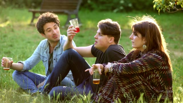Horario-de-verano:-Grupo-joven-de-amigos-sobre-el-césped-bebiendo-cerveza-y-hablando