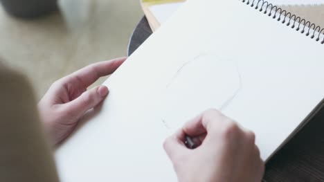 Artista-dibujo-cara-de-modelo-usando-crayón-en-café