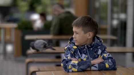 Junge-sitzt-an-einem-Tisch-in-einem-Café-im-Freien,-Tauben-im-Hintergrund