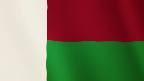 Animación-que-agita-la-bandera-de-Madagascar.-Pantalla-completa.-Símbolo-del-país
