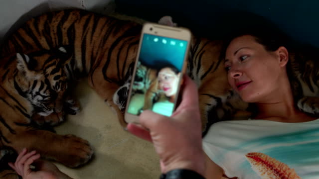 Man-shoots-girlfriend-with-small-tigers