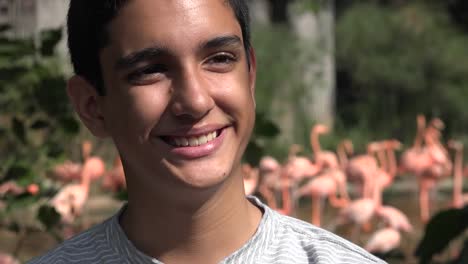 Teen-Jungen-in-der-Nähe-von-Flamingos-im-Natur-reservieren.