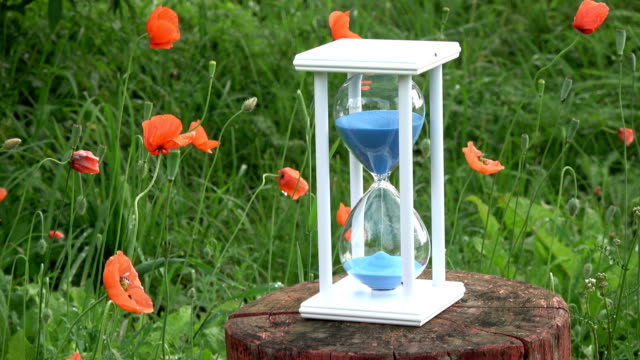Summer-time-hourglass-sandglass-with-blue-sand-motion-and-orange-poppy-blossoms