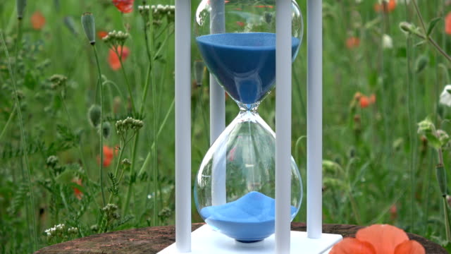 Hourglass-with-blue-sand-motion--and--poppy-in-garden