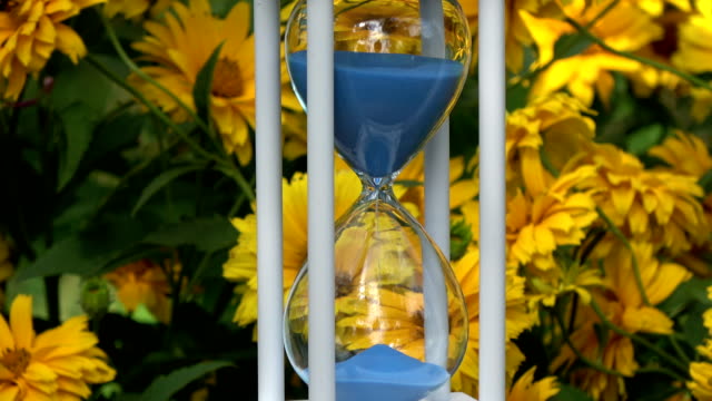Blue-sand-falling-flow-in-new-white-hourglass-and-flowers-background
