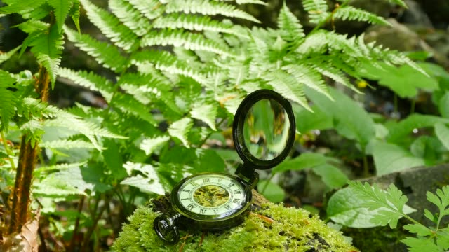 Pocket-Watch-on-Green-Moss