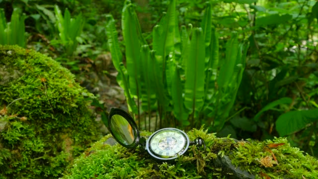 Pocket-Watch-on-Green-Moss