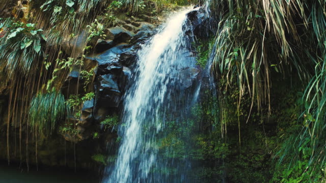 Waterfalls,-Grenada,-Annandale-Falls