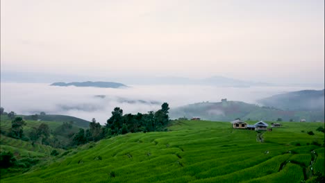 Reis-eingereicht-und-Berg-in-einem-nebligen-Zeitraffer,-Ban-Pa-Bong-Piang-Hill-Tribe-Dorf,-Chiangmai,-Thailand.