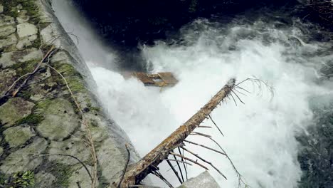 Bergbach-mit-Wasserfall,-kleine-Wasserdamm,-Bäume-im-Wasser-Flussbettes-angegriffen
