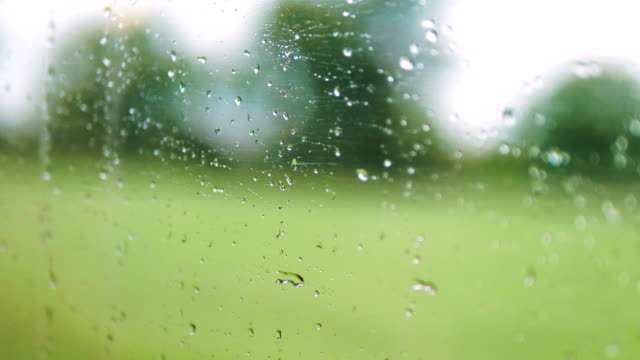 Driving-car-on-rainy-day-in-4k-slow-motion-60fps