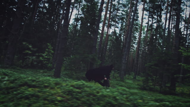 4K-Halloween-Horror-Man-Running-In-Forest-with-Black-Cape