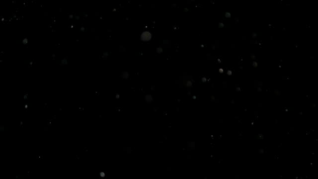 Slow-Motion-Snow-on-Black-Background