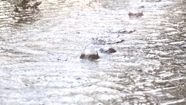 Slow-motion-raining-water-dropping-on-ground-to-flood-city.