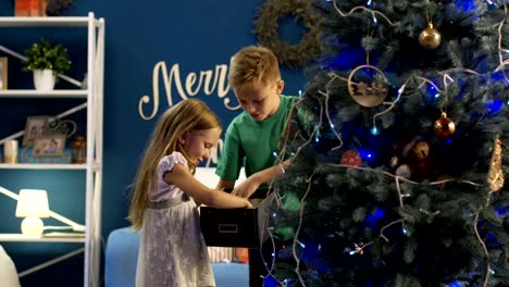 Siblings-decorating-spruce-Christmas-tree