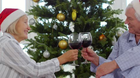 Ehepaar-im-Ruhestand-Wein-trinken-zu-Weihnachten