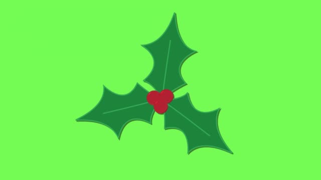 Icono-de-Navidad-festiva-Holly-bush-animación
