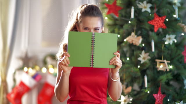 Frau-mit-Notebook-Spaß-Zeit-Weihnachtsbaum
