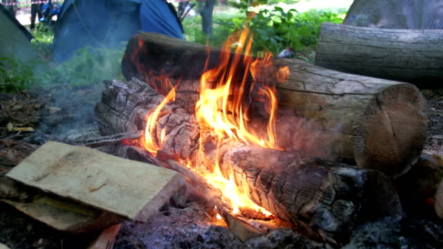 Bonfire-Burns-in-the-Camping-Amidst-a-Tent-and-Logs-in-the-Forest