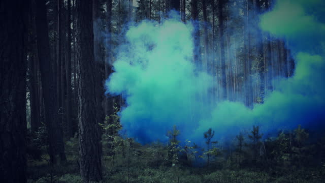 4K-Halloween-Horror-of-Smoke-in-Dark-Forest