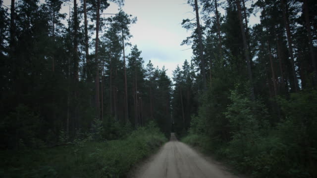 4K-Halloween-Horror-Driving-in--Dark-Forest