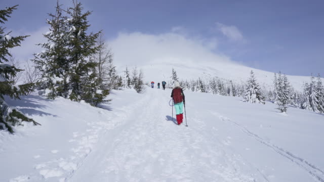 Mädchen,-die-an-sonnigen-Tag-im-Winter-auf-Schnee-im-slowakischen-Berge-wandern