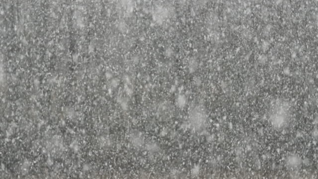 Detailansicht-der-dicken-Schneefall
