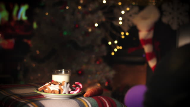 4-k-Weihnachten-und-Neujahr-Urlaub-Brief-und-Kekse-für-den-Weihnachtsmann