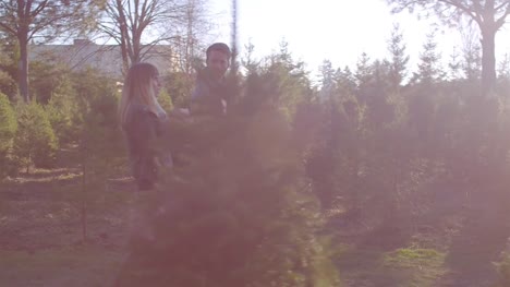 A-young-family-walking-through-a-Christmas-tree-farm,-man-carrying-a-saw