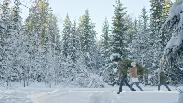 Familie-mit-Weihnachtsbaum-zu-Fuß-durch-Wald