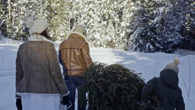 Familia-con-árbol-de-Navidad-caminando-en-bosque
