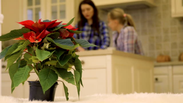Two-girlfriends-talks-at-the-kitchen-at-the-background-of-christmas-flower