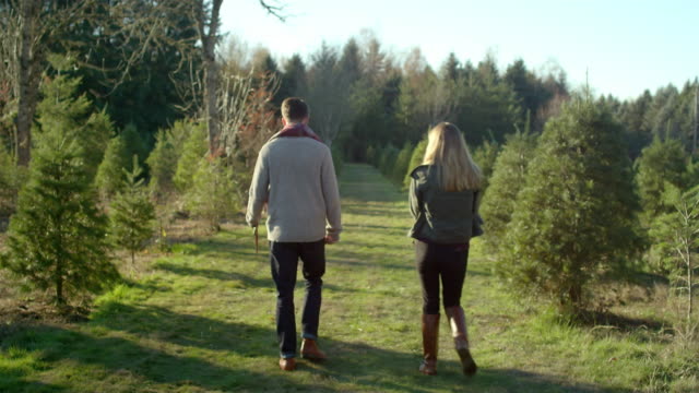 A-young-family-walking-through-a-Christmas-tree-farm,-man-carrying-a-saw