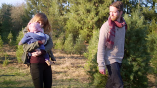 A-young-man-carries-a-Christmas-tree-through-the-farm,-walking-with-his-wife-and-baby