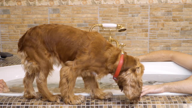 Mann-nimmt-ein-heißes-Bad-mit-seinem-Hund