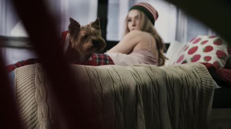 Beautiful-woman-lays-on-bed-and-straightens-the-Santa's-cap-on-her-dog