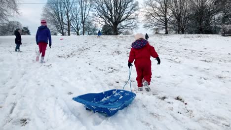 Kinder-ziehen-eines-Schlittens-auf-einem-schneebedeckten-Hügel