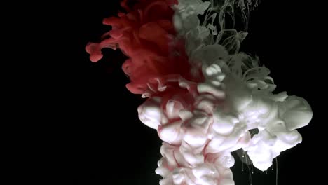 Red-and-white-acrylic-paint-cloud-spraying-in-water-on-black-background.