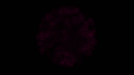 Buntes-Feuerwerk-Element-auf-schwarzem-Hintergrund