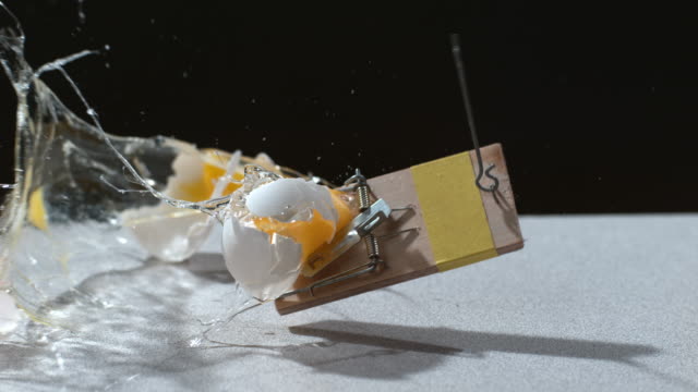 Slow-motion-egg-falling-onto-mouse-trap