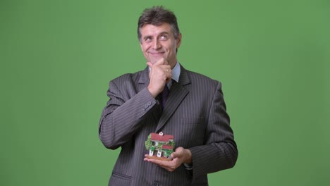 Reife-schöne-Geschäftsmann-vor-grünem-Hintergrund