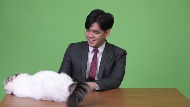 Junge-hübsche-asiatische-Geschäftsmann-mit-Perserkatze-vor-grünem-Hintergrund
