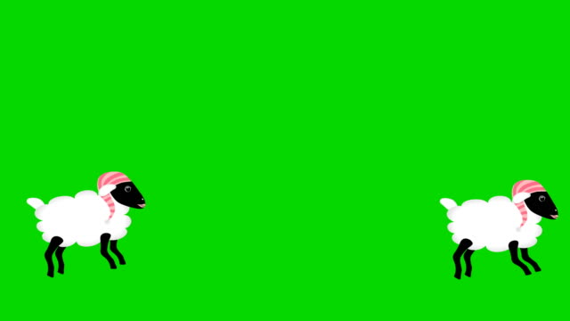 Counting-Sheep-Jumping-on-green-screen-chromakey