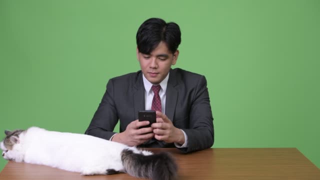 Young-handsome-Asian-businessman-with-Persian-cat-against-green-background