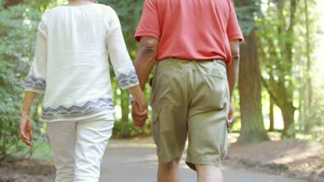 Couple-Holding-Hands-while-Walking-in-a-Park