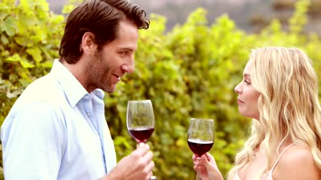 Glückliches-Paar-sprechen-bei-einem-Glas-Wein